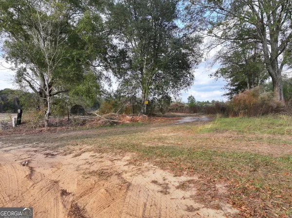 a picture of a park