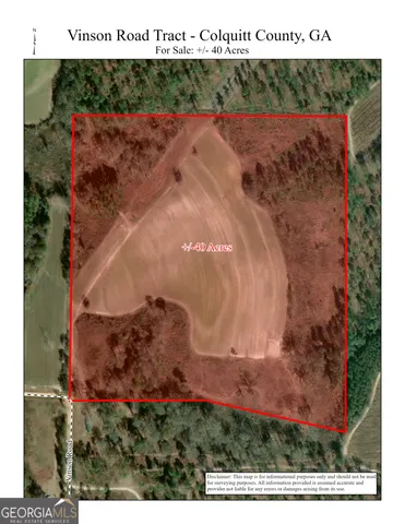 a view of a forest with trees in the background