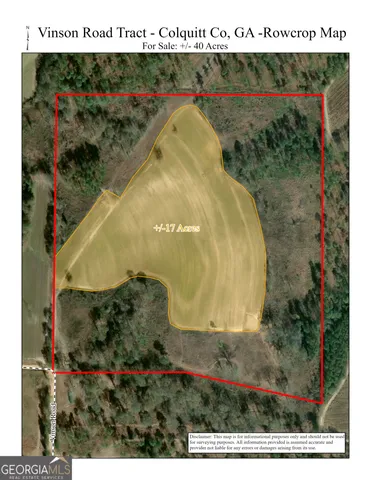 a view of a forest with trees