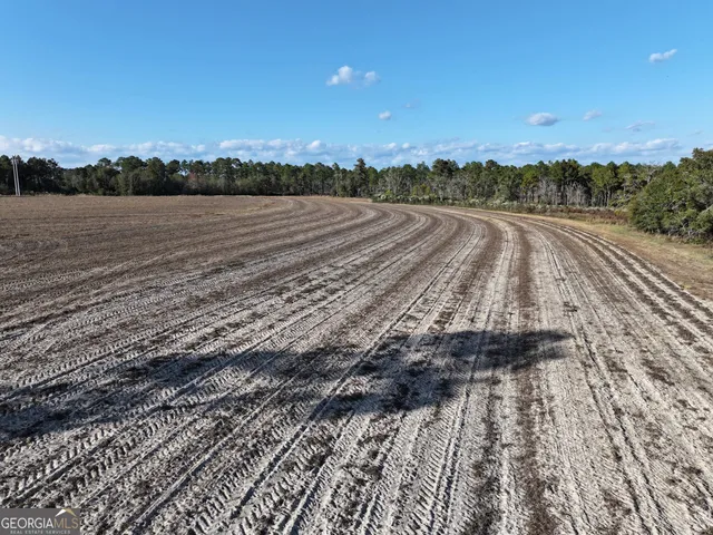 a view of a bunch of trees and bushes