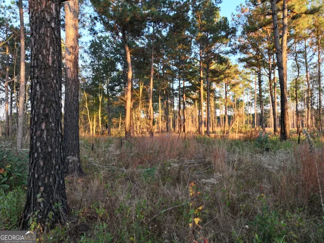 a vase of flowers sitting on a table