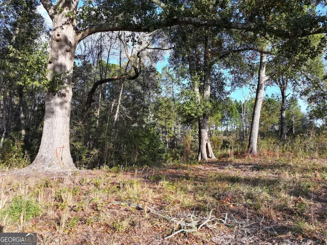 a view of lake with tree in front of it