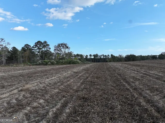 $300,000 | 963 Vinson Road, Meigs, GA 31765