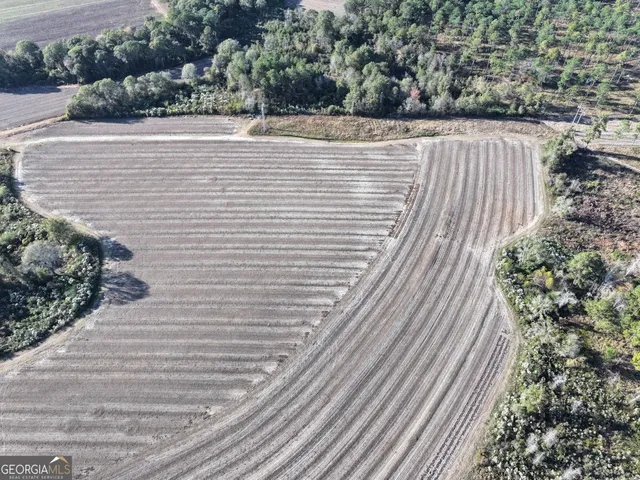 $300,000 | 963 Vinson Road, Meigs, GA 31765