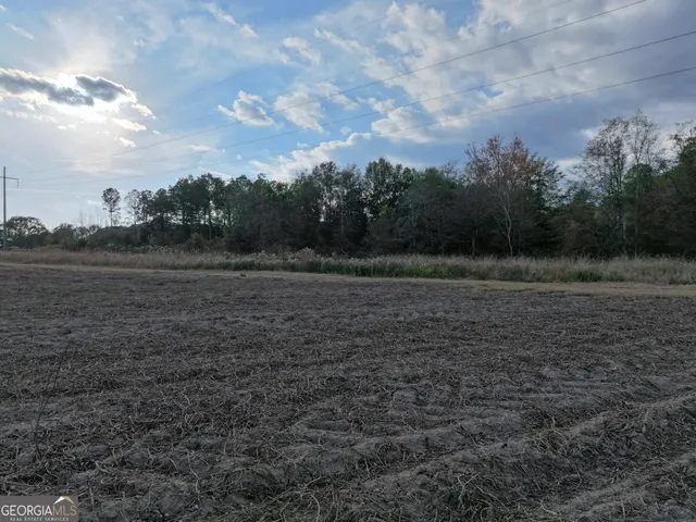 $300,000 | 963 Vinson Road, Meigs, GA 31765