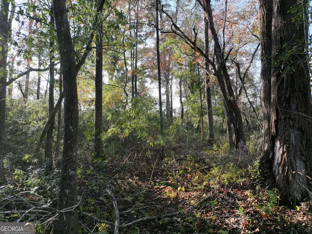 a view of a field with trees in background