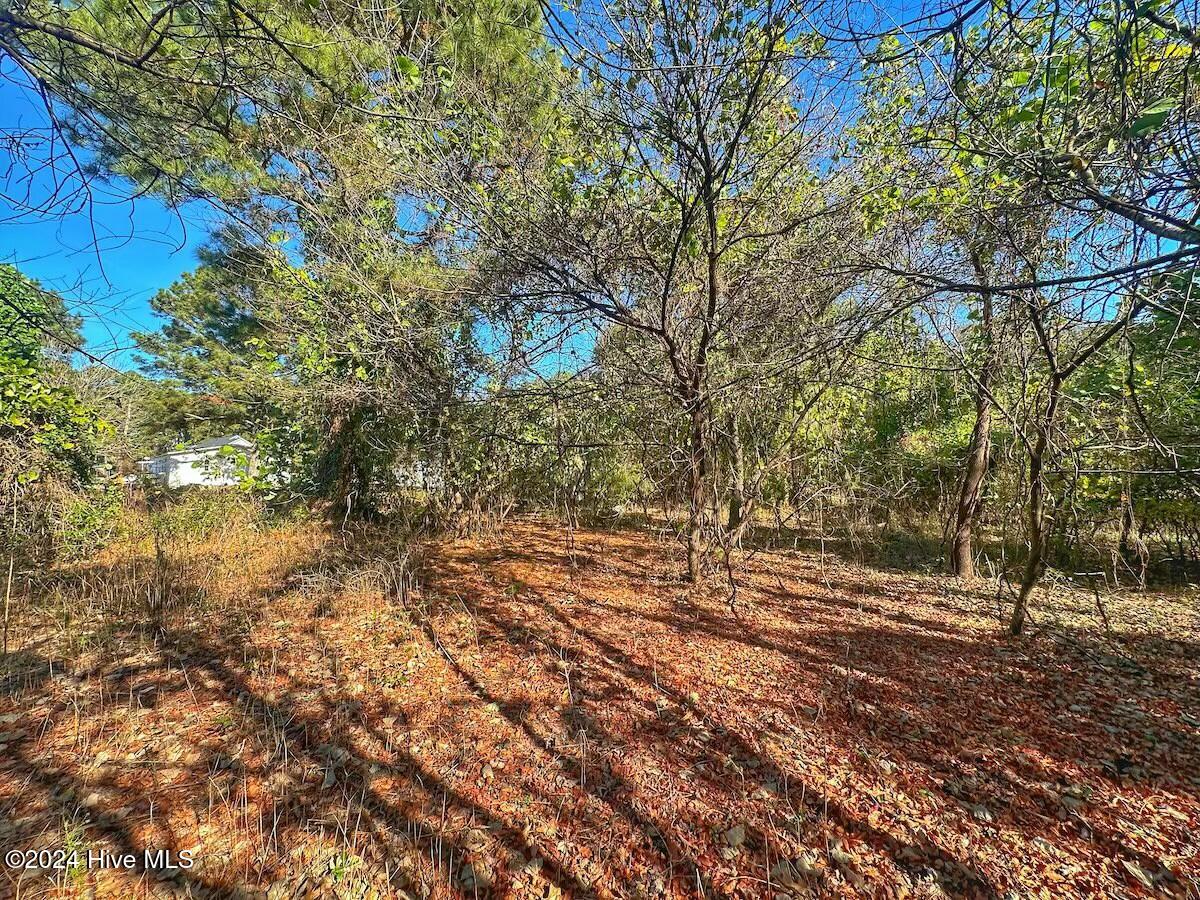 0 County Line Road La Grange, NC 28551 - Photo 38 of 38 tempImage1FVL9v