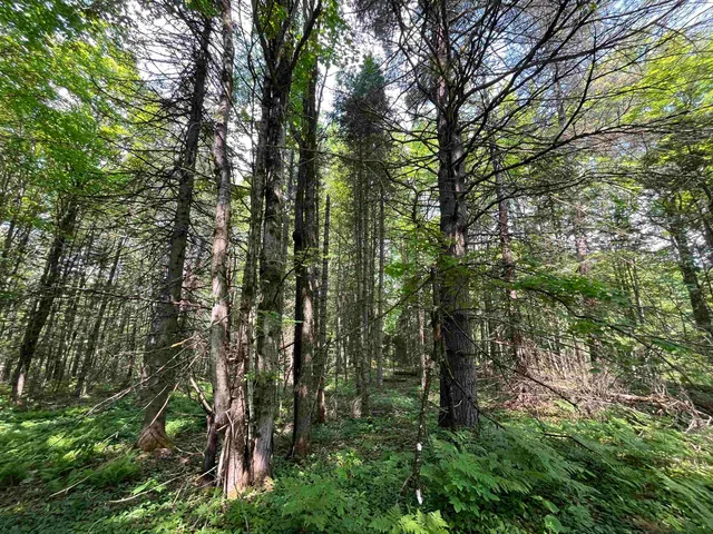 $99,000 | 0 Guyette Road, Lowell, VT 05847