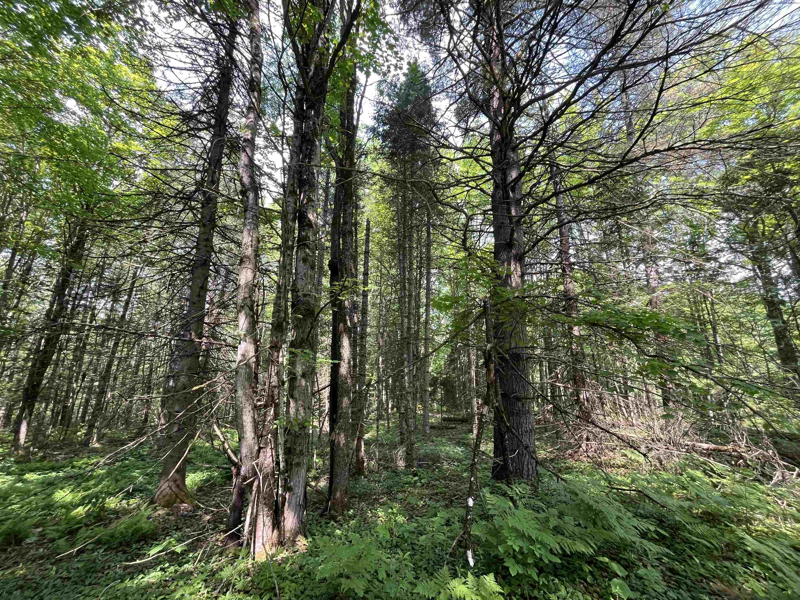 0 Guyette Road Lowell, VT 05847 - Photo 11 of 13