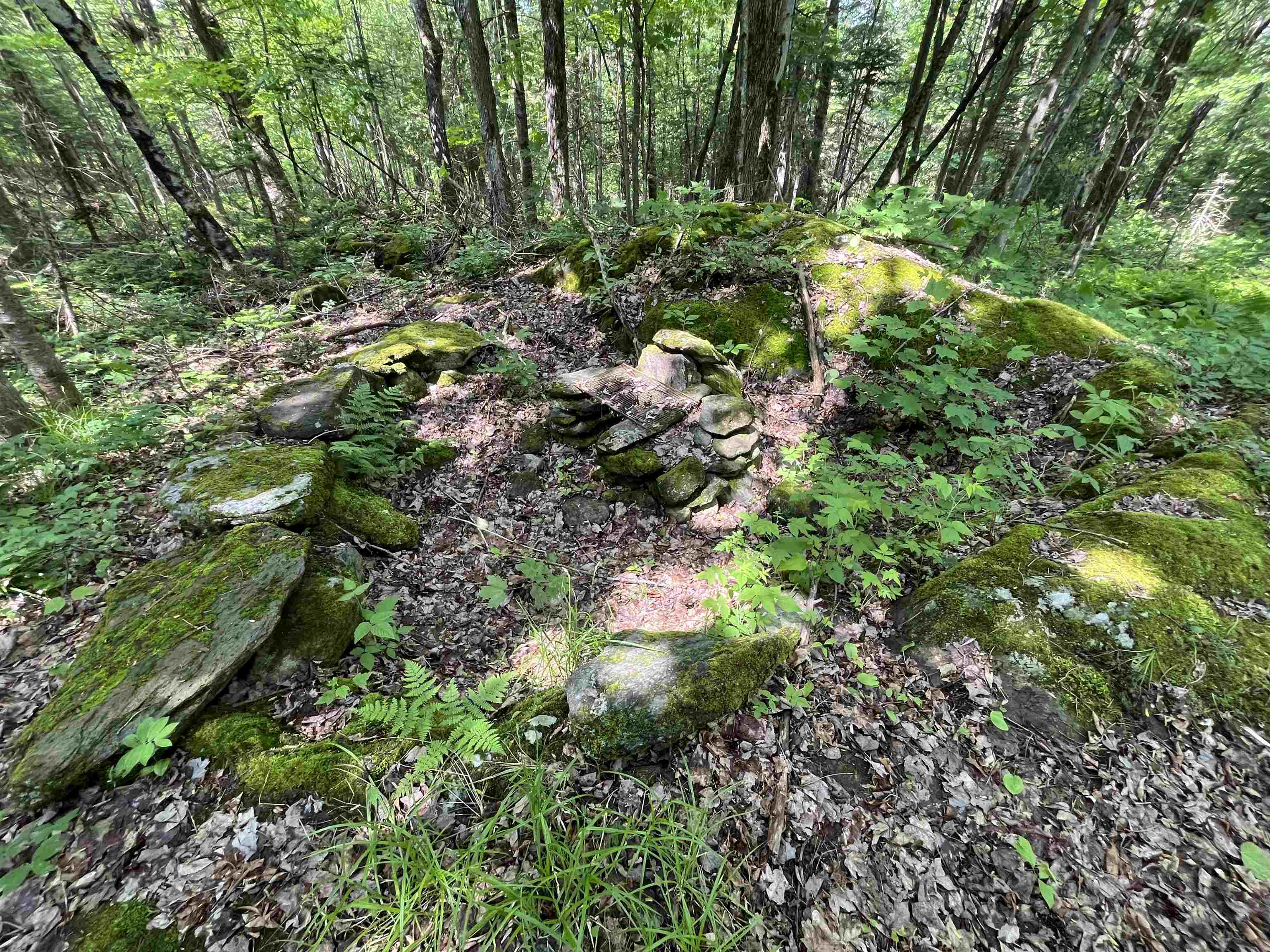 0 Guyette Road Lowell, VT 05847 - Photo 12 of 13