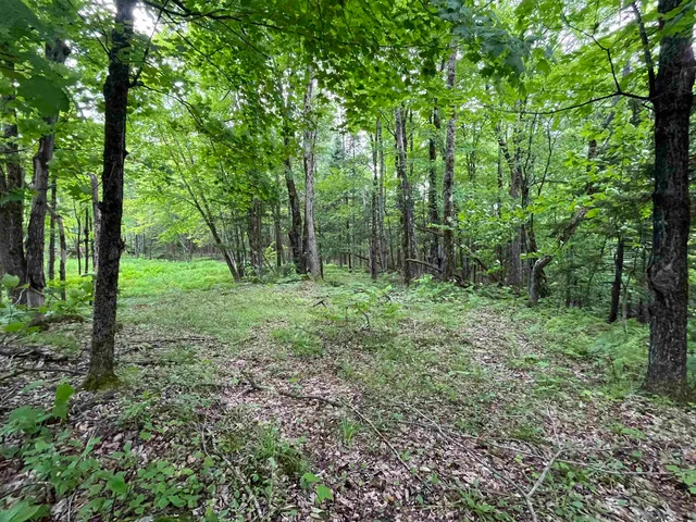 $99,000 | 0 Guyette Road, Lowell, VT 05847