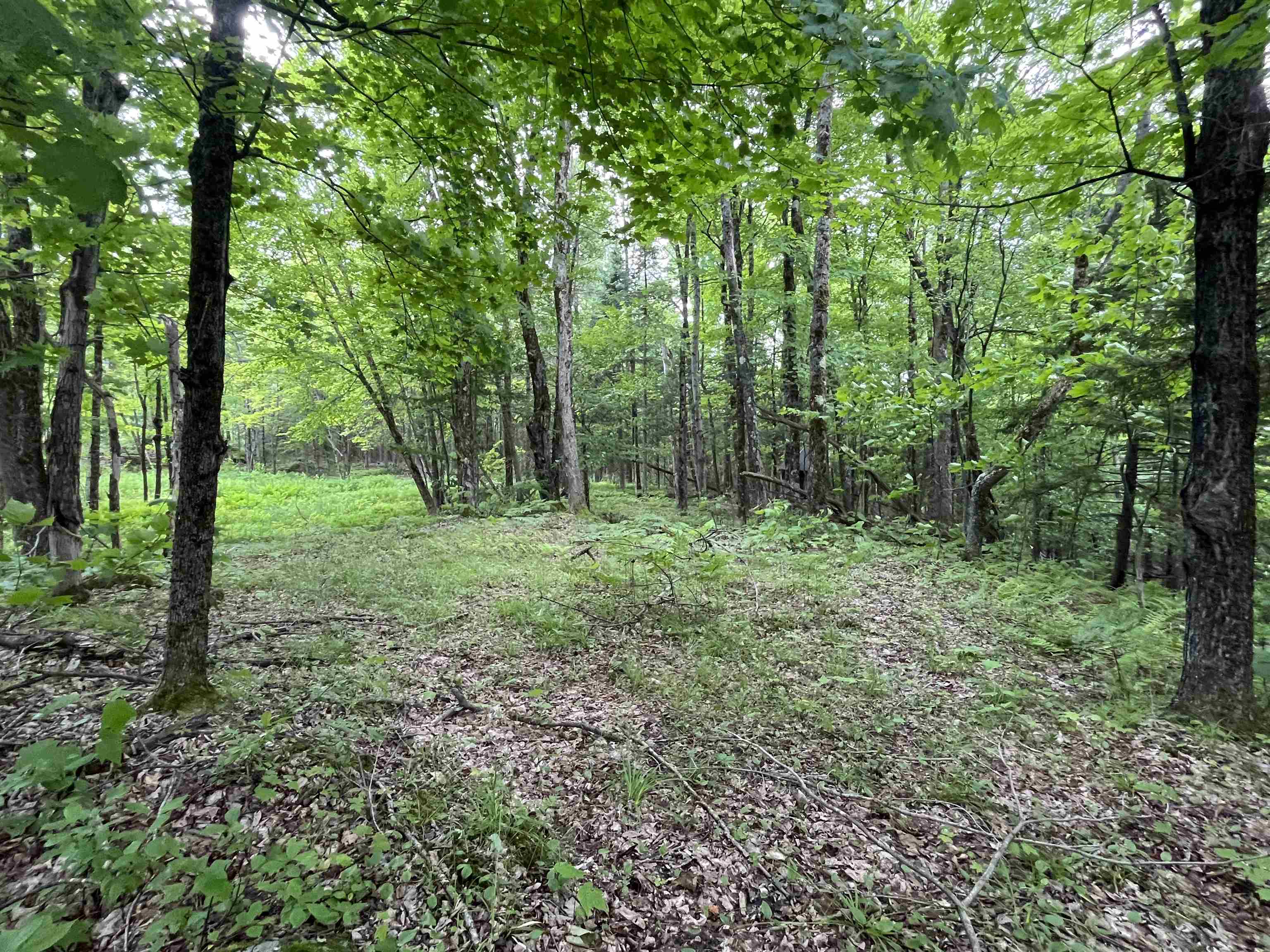 0 Guyette Road Lowell, VT 05847 - Photo 13 of 13