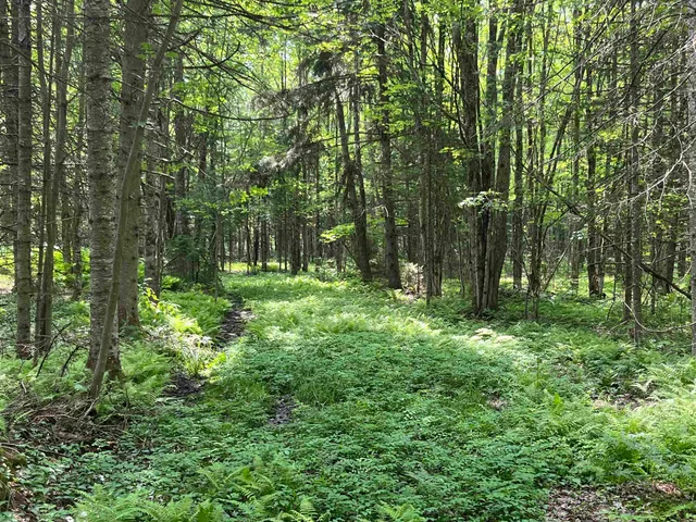 $99,000 | 0 Guyette Road, Lowell, VT 05847