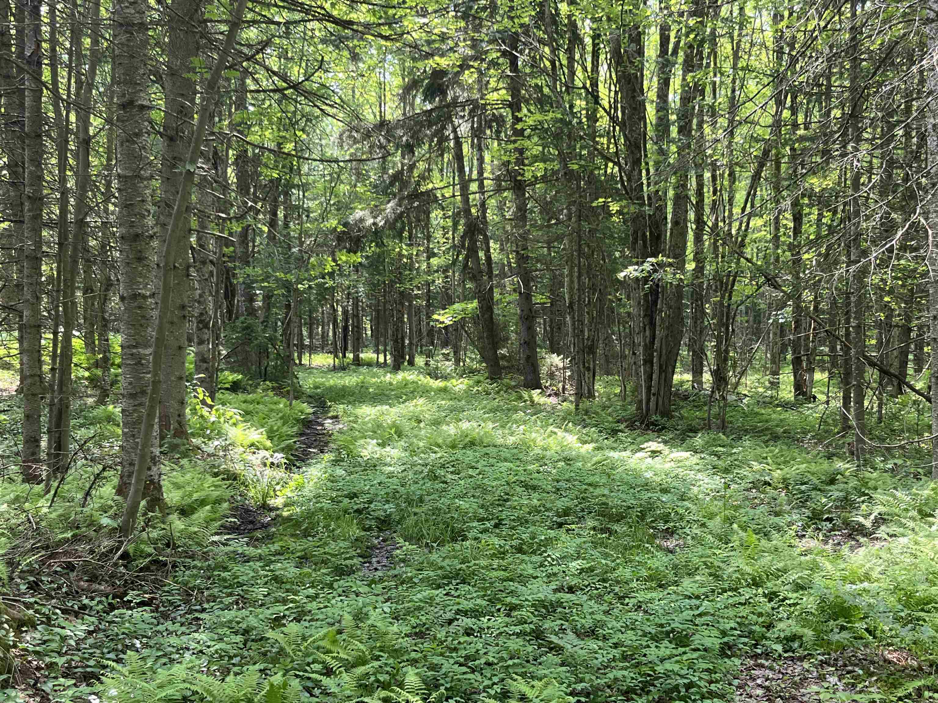 0 Guyette Road Lowell, VT 05847 - Photo 3 of 13