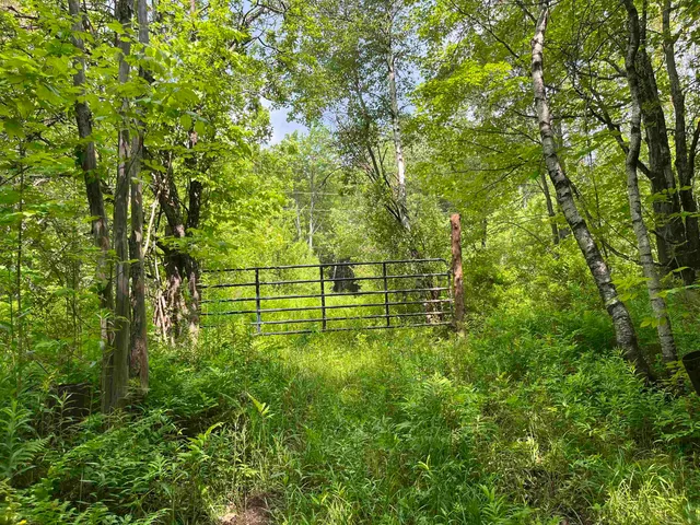 $99,000 | 0 Guyette Road, Lowell, VT 05847