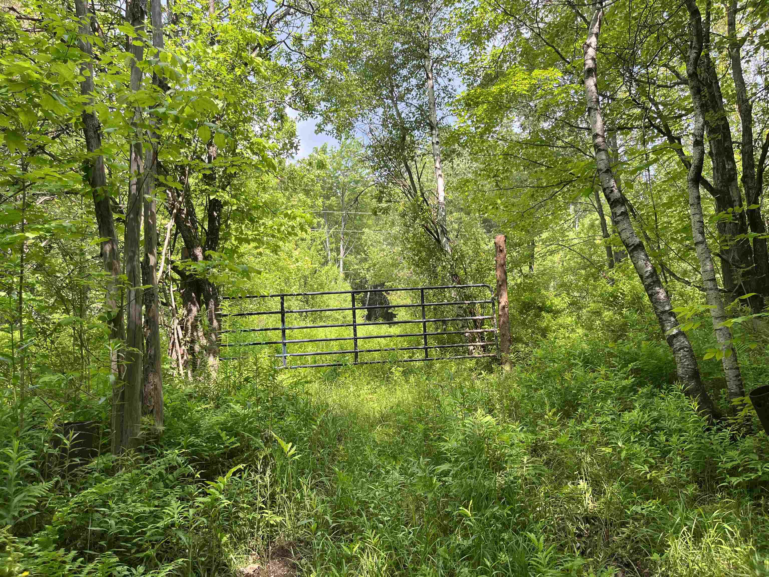 0 Guyette Road Lowell, VT 05847 - Photo 4 of 13