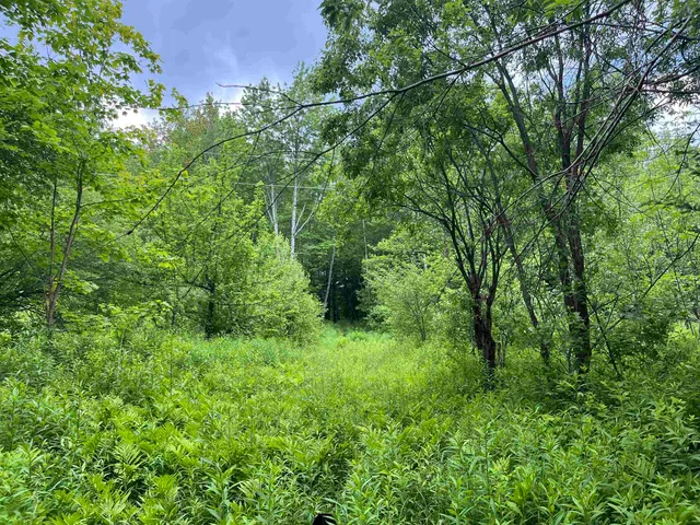 $99,000 | 0 Guyette Road, Lowell, VT 05847