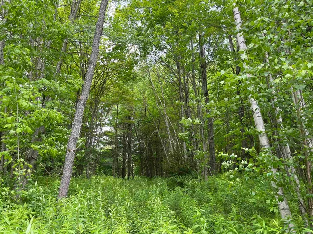 $99,000 | 0 Guyette Road, Lowell, VT 05847