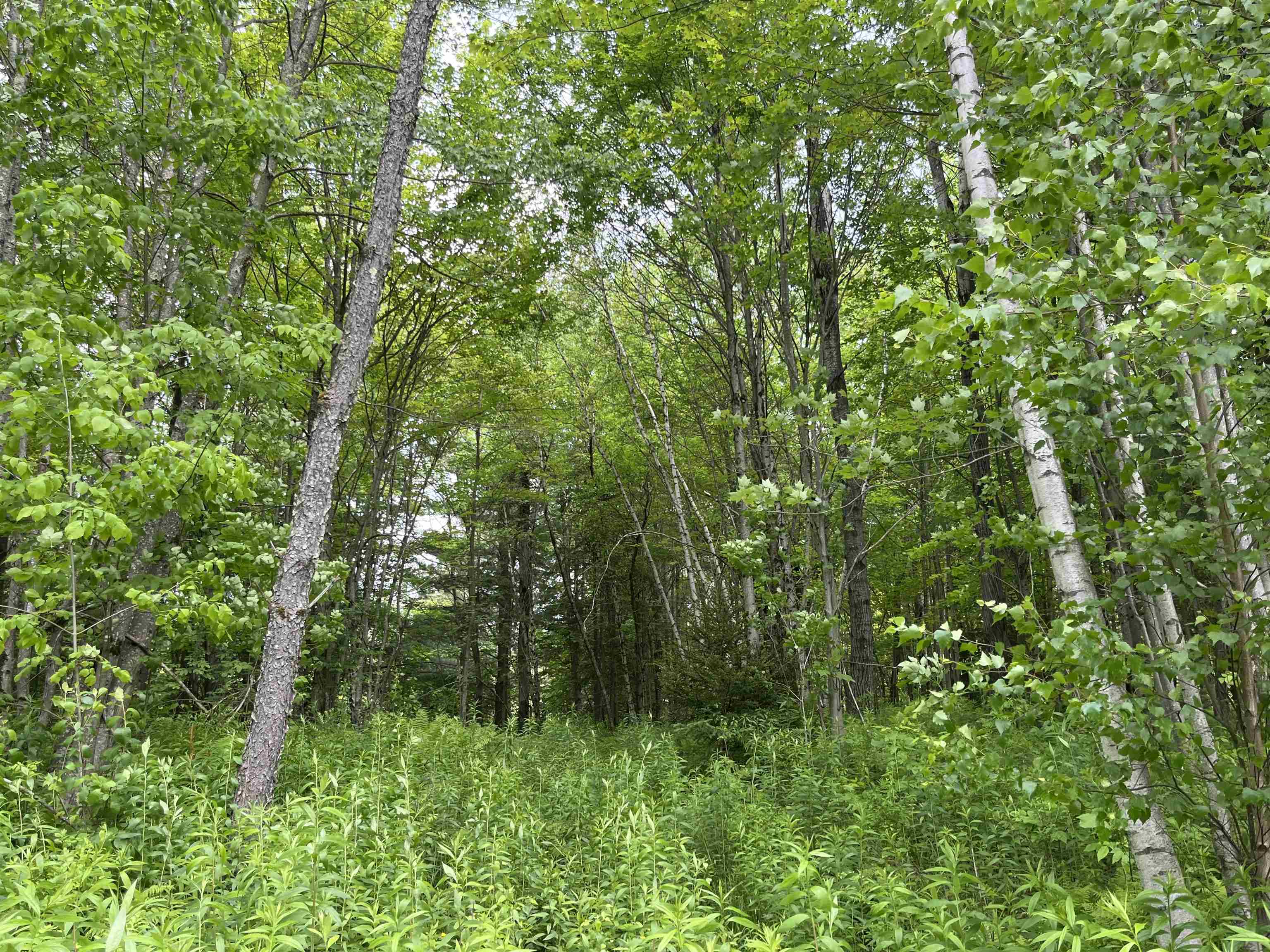 0 Guyette Road Lowell, VT 05847 - Photo 6 of 13