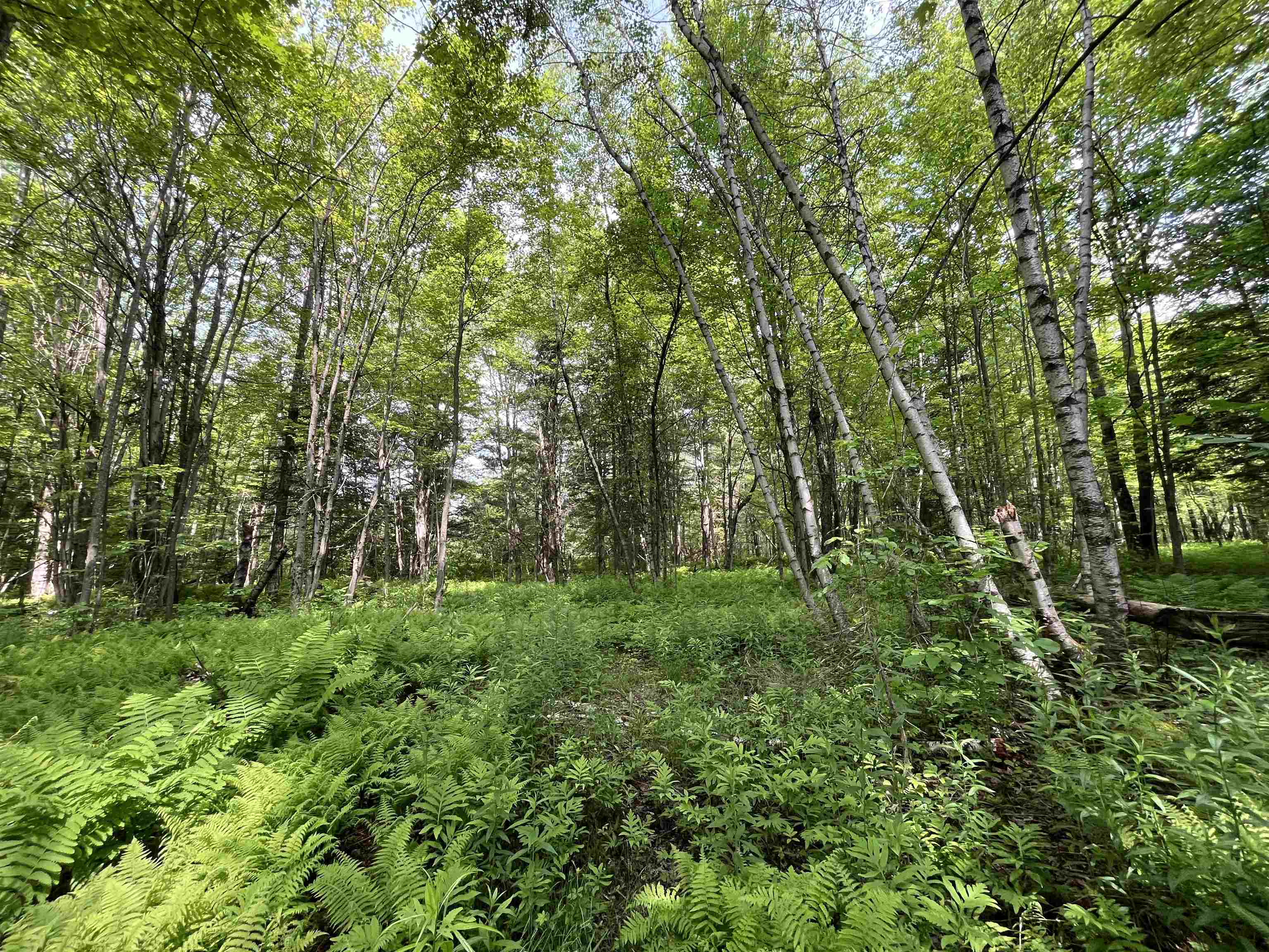 0 Guyette Road Lowell, VT 05847 - Photo 7 of 13