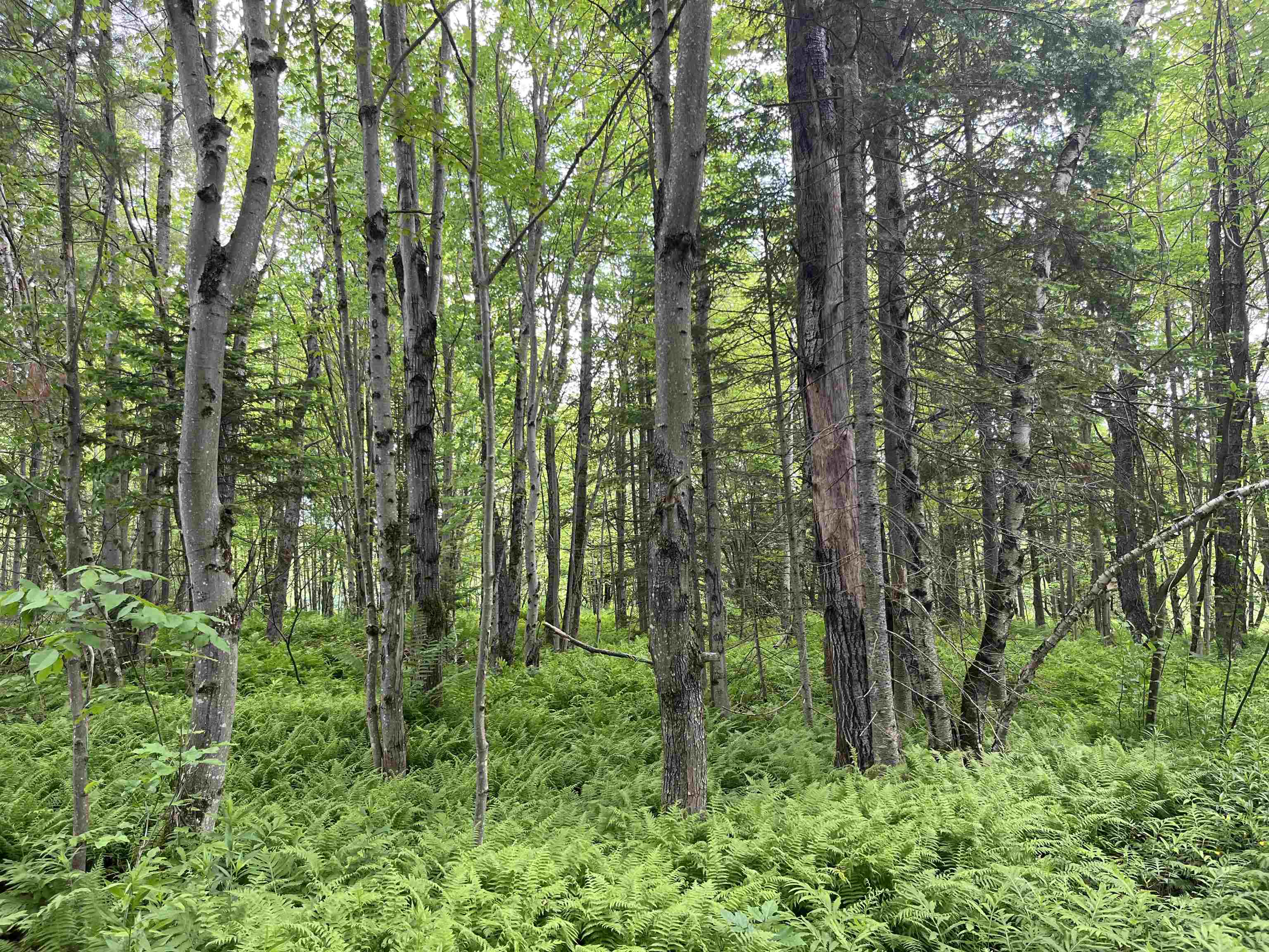 0 Guyette Road Lowell, VT 05847 - Photo 8 of 13