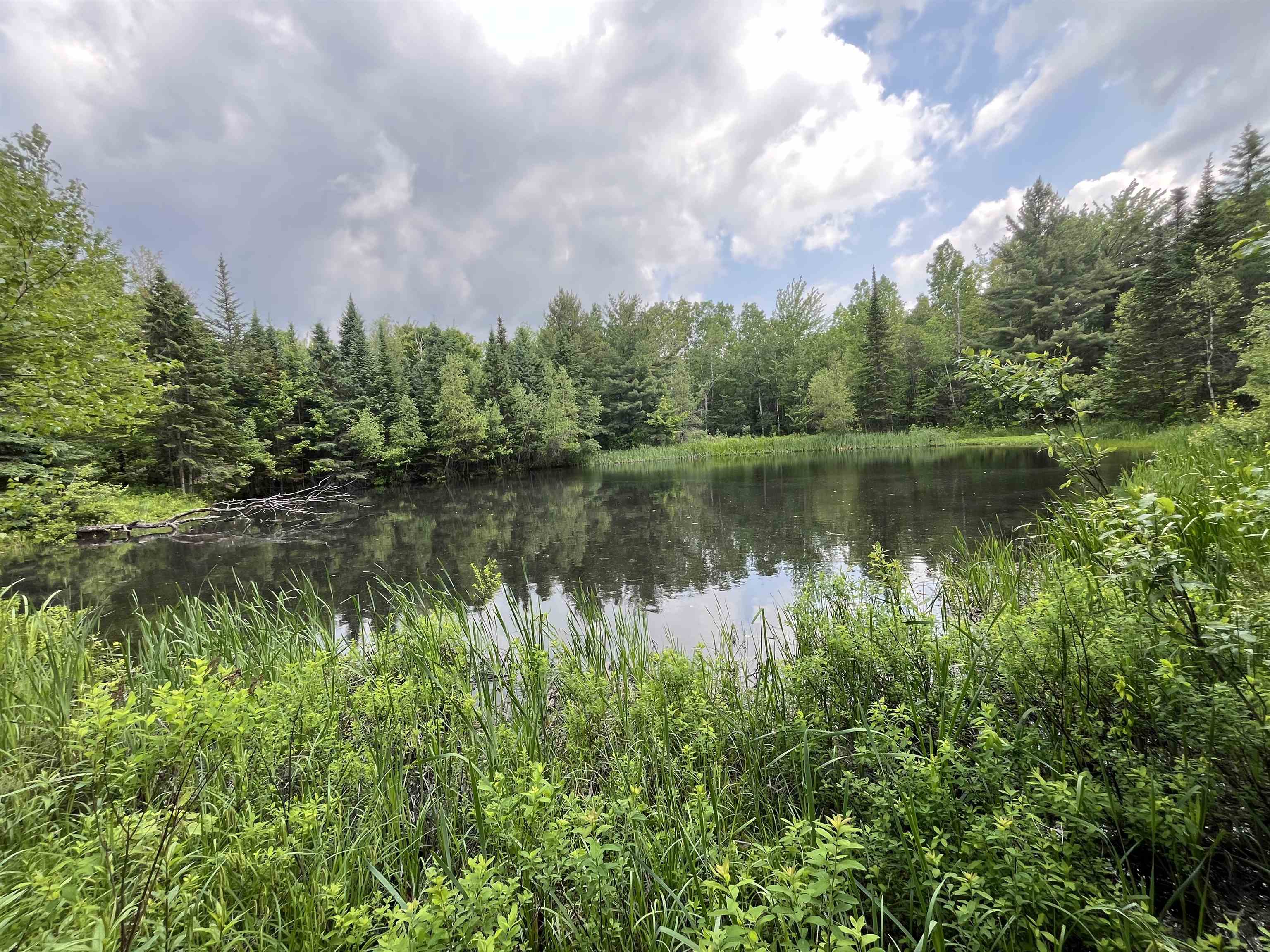0 Guyette Road Lowell, VT 05847 - Photo 9 of 13