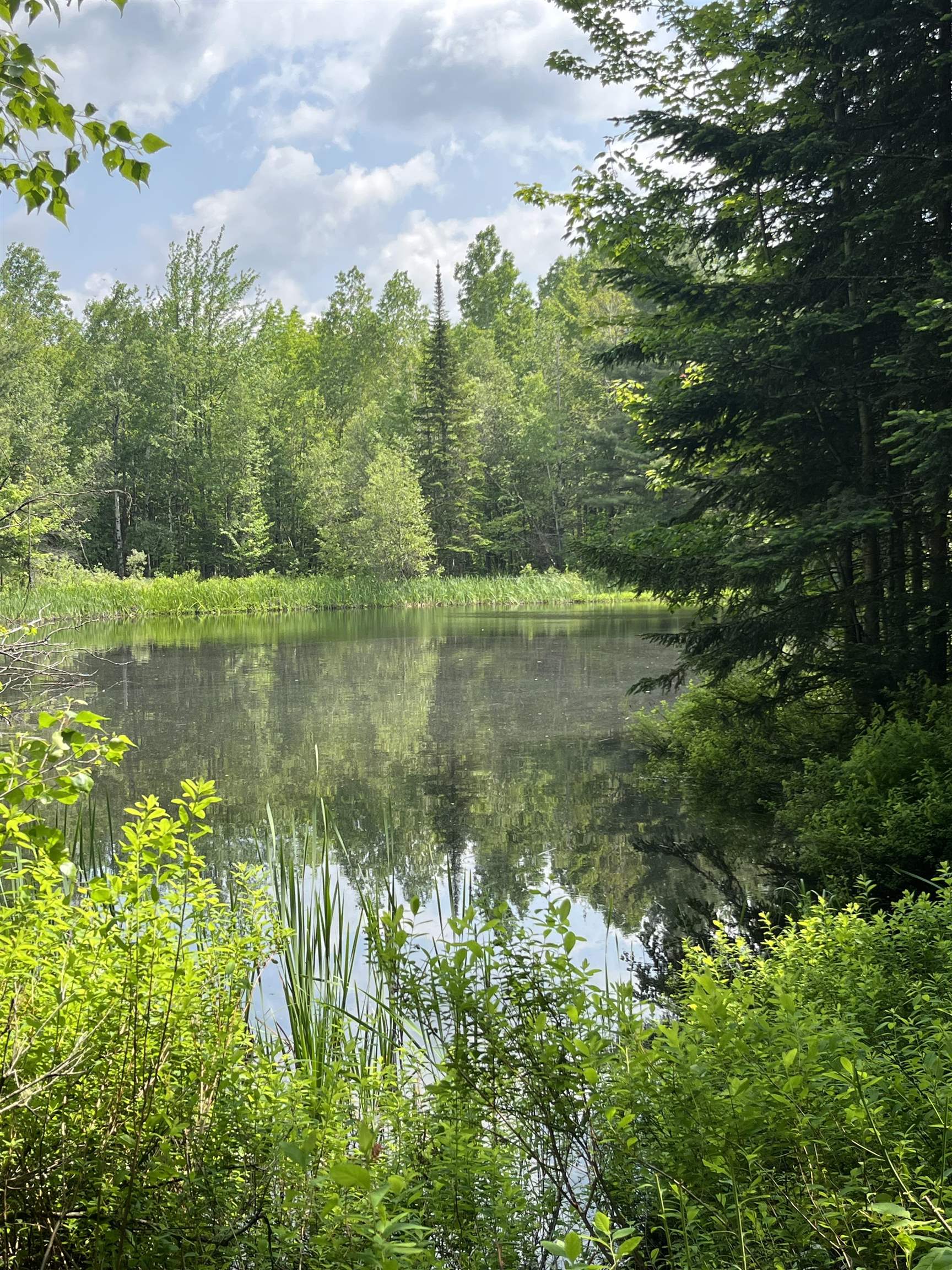 0 Guyette Road Lowell, VT 05847 - Photo 10 of 13