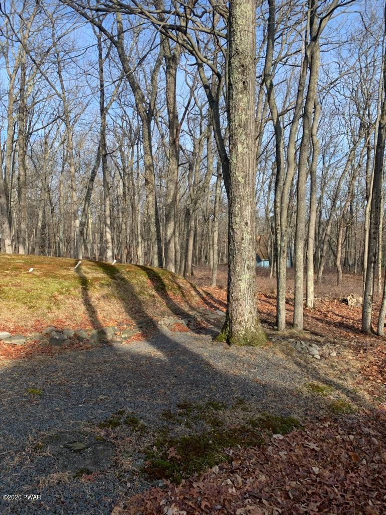 201 Rodeo Drive Hawley, PA 18428 - Photo 15 of 17 a view of dirt yard with large trees