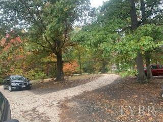 454 Pumping Station Road Spout Spring, VA 24593 - Photo 4 of 49 Gallery Image 4