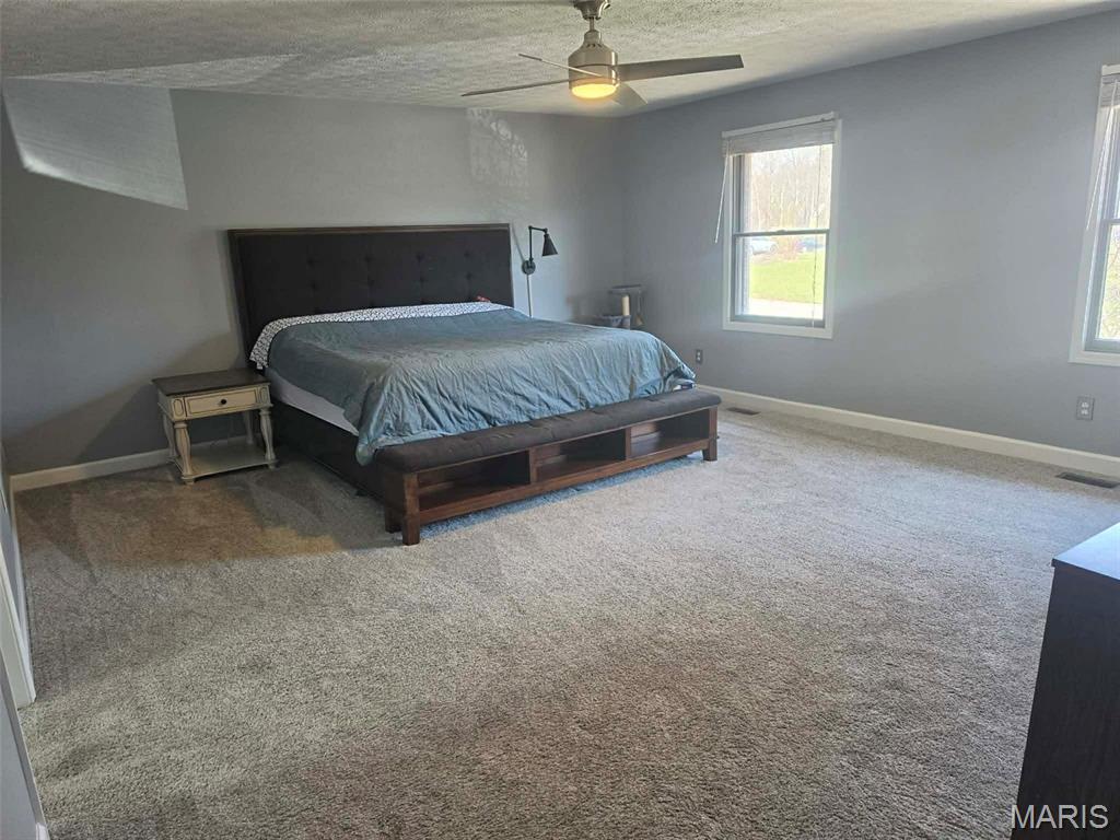 1993 Mapleleaf Drive Collinsville, IL 62234 - Photo 11 of 23