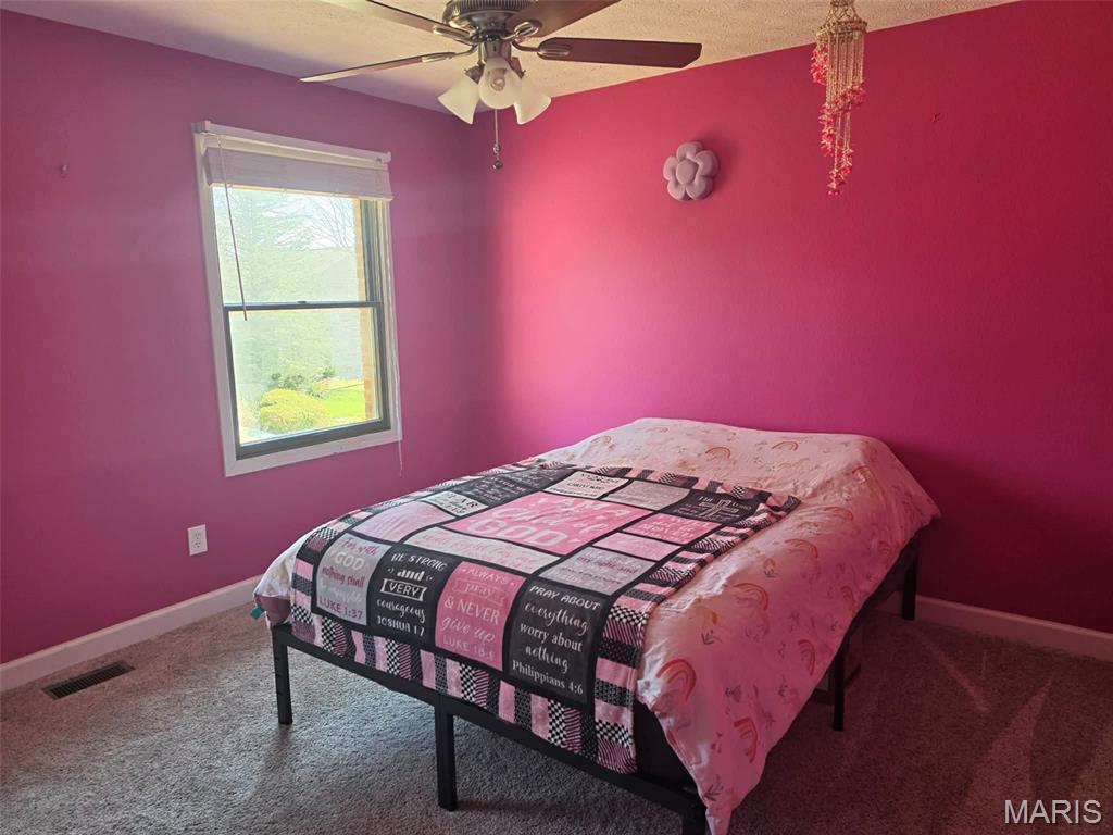 1993 Mapleleaf Drive Collinsville, IL 62234 - Photo 16 of 23