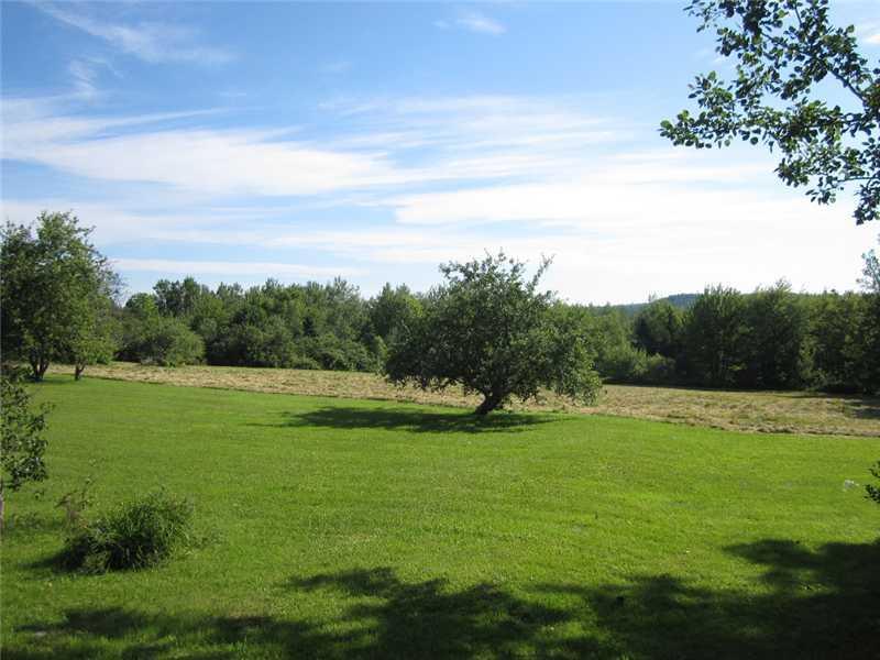 1263 Ayers Junction Road Charlotte, ME 04666 - Photo 7 of 33 Land/Lot. Beautiful old Apple tree...