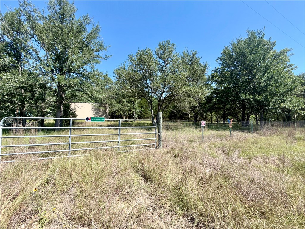545 Cranberry Road Somerville, TX 77879 - Photo 2 of 19