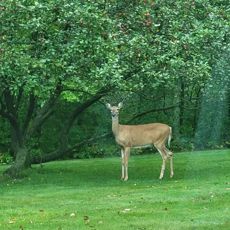 $755,000 | W15501 Highway 10, Fairchild, WI 54741