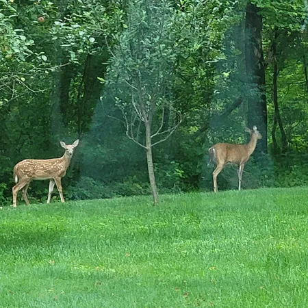 $755,000 | W15501 Highway 10, Fairchild, WI 54741