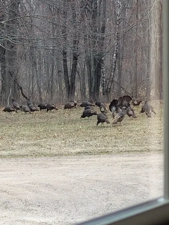 $755,000 | W15501 Highway 10, Fairchild, WI 54741