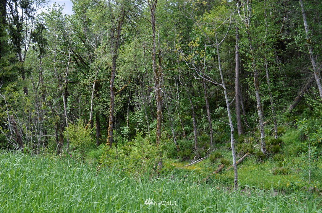 4929 Churchill Road Southeast Tenino, WA 98589 - Photo 4 of 4