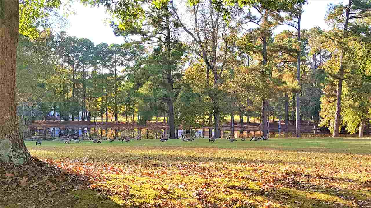 4708 Fielding Drive Raleigh, NC 27606 - Photo 25 of 26 Photo 25