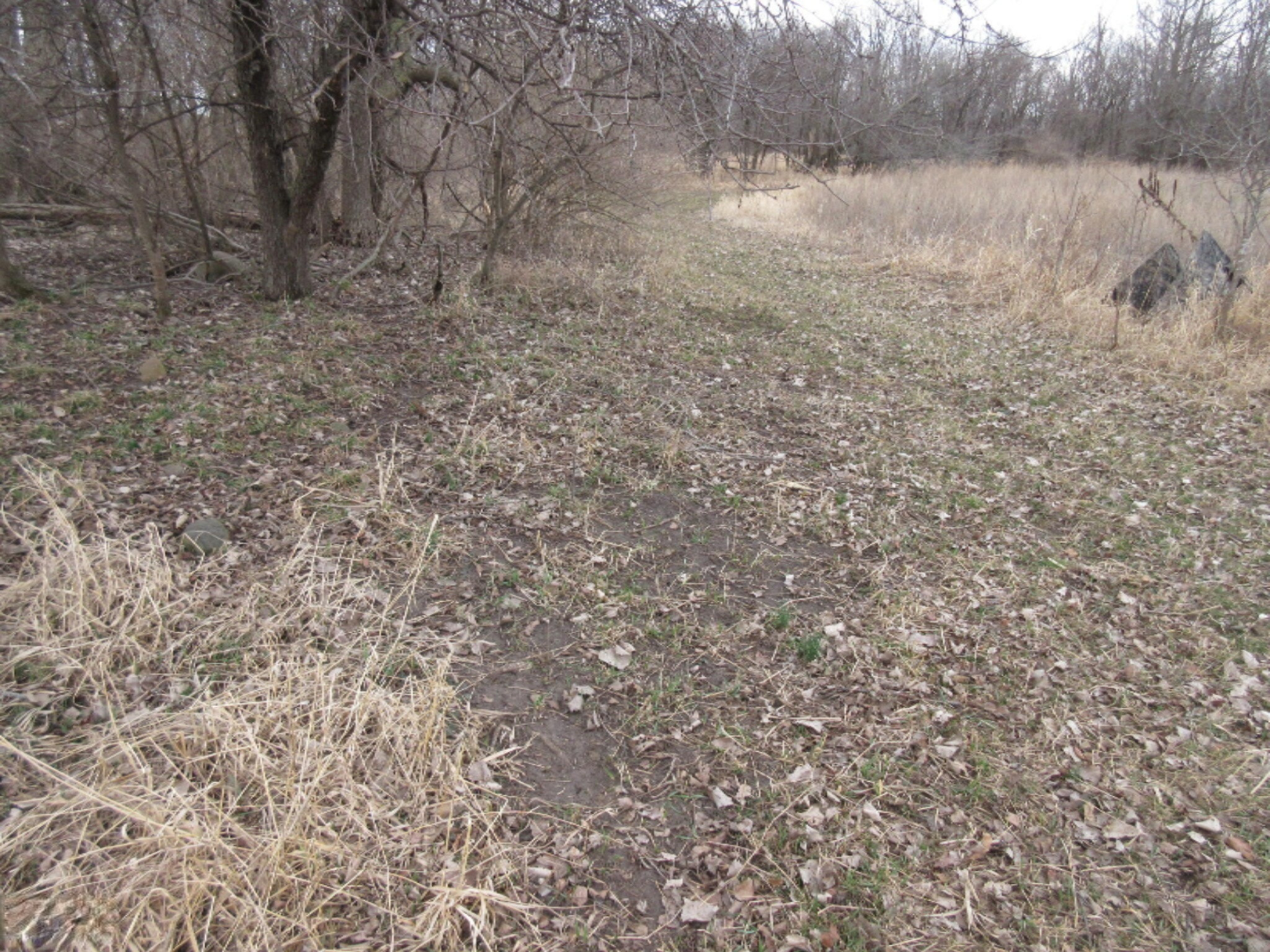 East Wilson Road Ashley, MI 48806 - Photo 14 of 42 IMG_8838