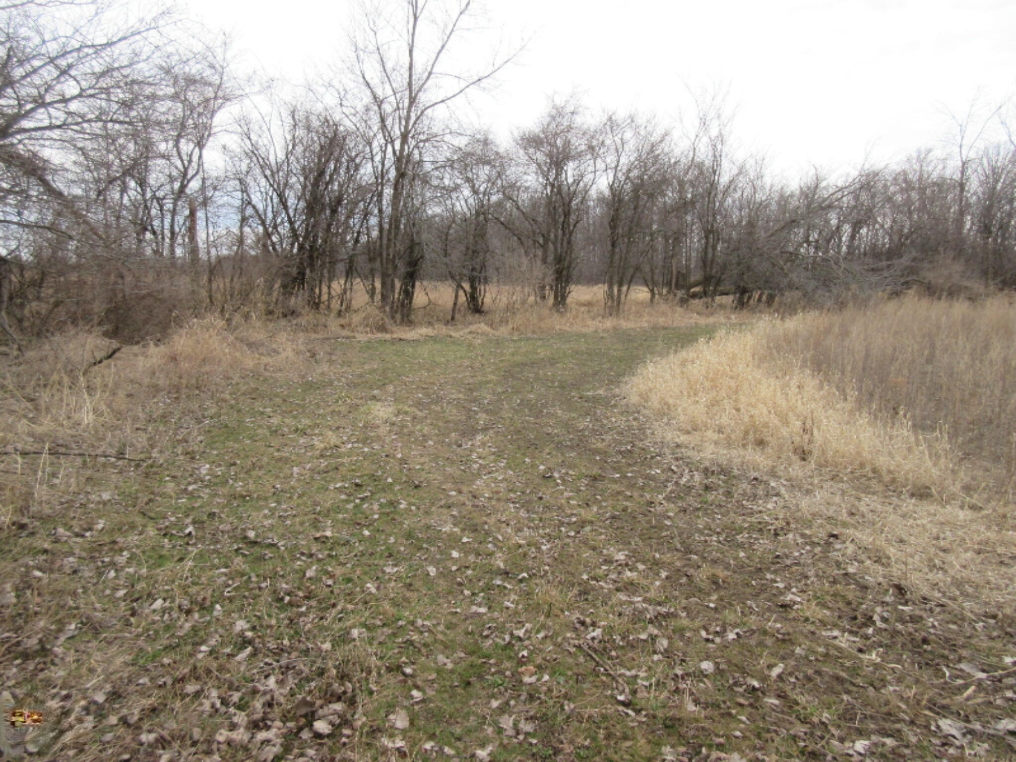 East Wilson Road Ashley, MI 48806 - Photo 16 of 42 IMG_8843