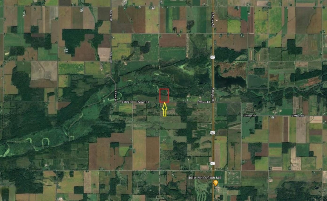 East Wilson Road Ashley, MI 48806 - Photo 2 of 42 Aerial2