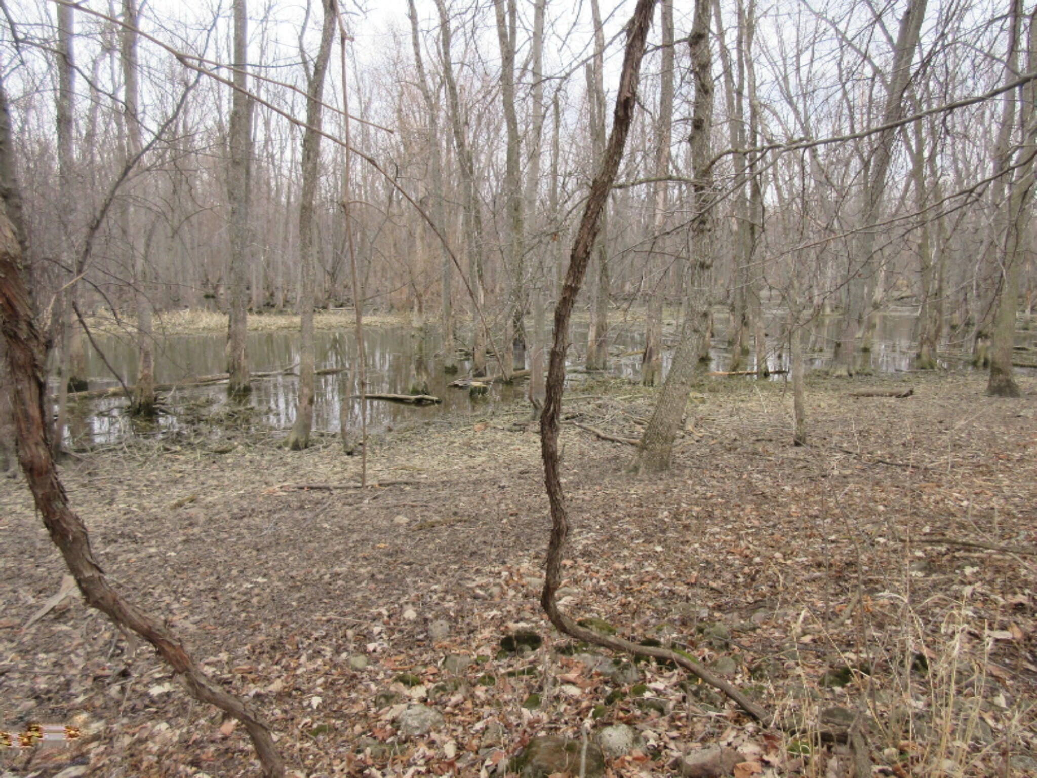 East Wilson Road Ashley, MI 48806 - Photo 26 of 42 IMG_8863