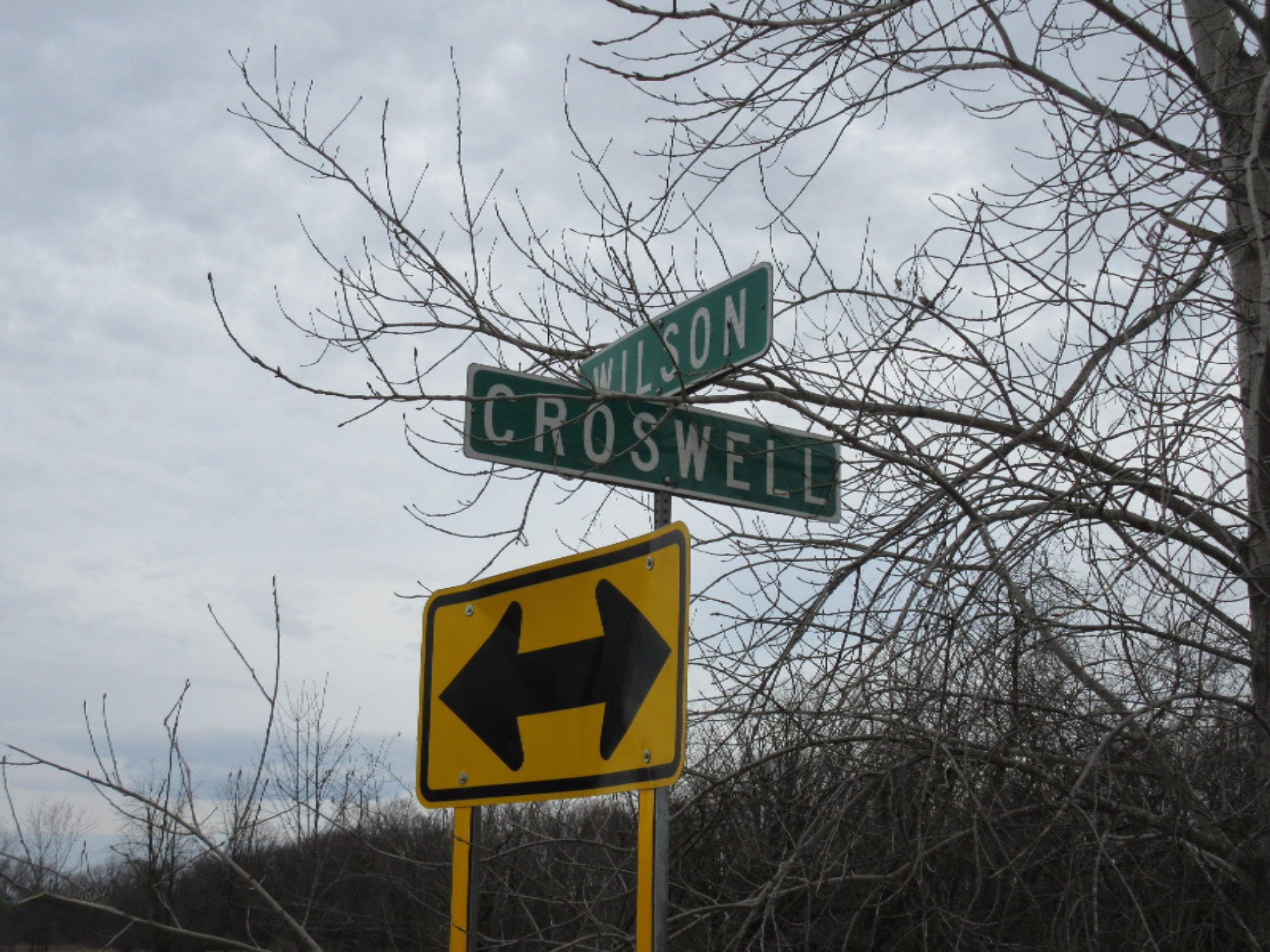 East Wilson Road Ashley, MI 48806 - Photo 3 of 42 IMG_8822