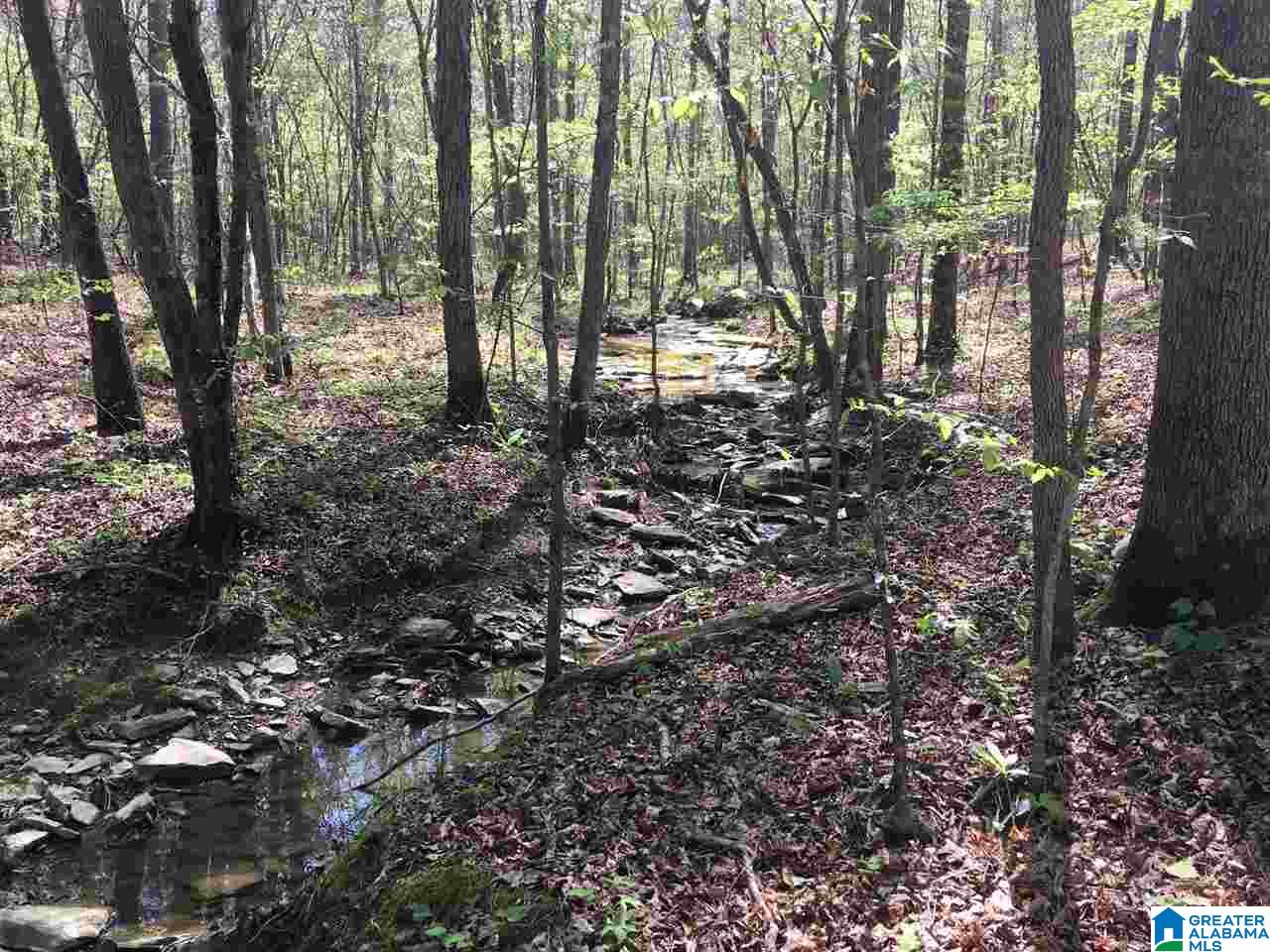 0 Isbell Road, Unit 40 Odenville, AL 35120 - Photo 11 of 13