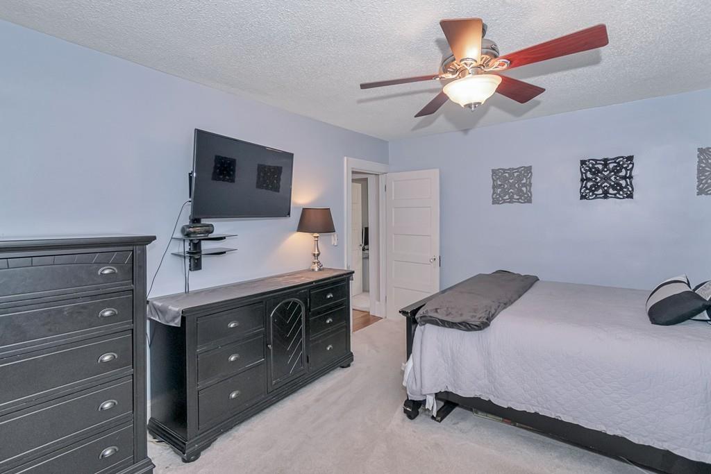 19 Ashbrook Street Springfield, MA 01118 - Photo 19 of 28