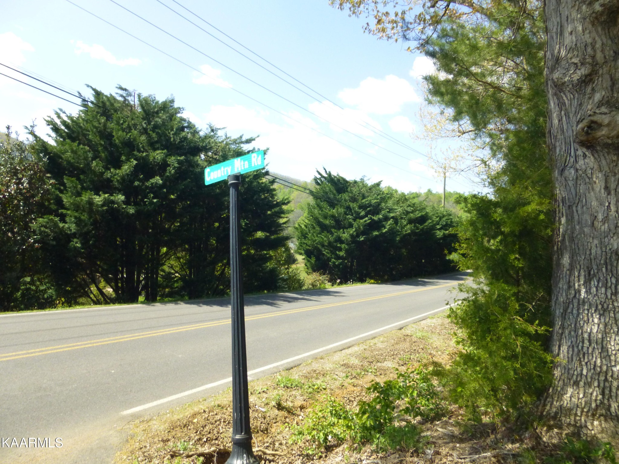 4 Country Mountain Road Cosby, TN 37722 - Photo 2 of 12