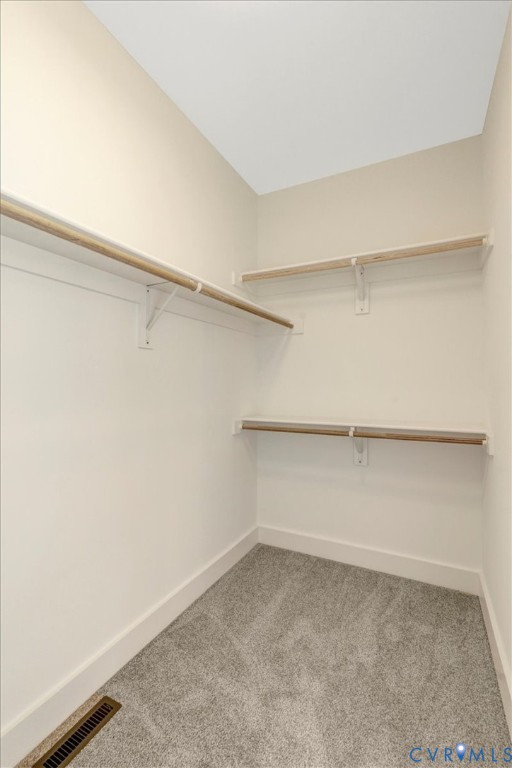 4752 Country Club Road La Crosse, VA 23950 - Photo 28 of 35 a view of an empty walk in closet