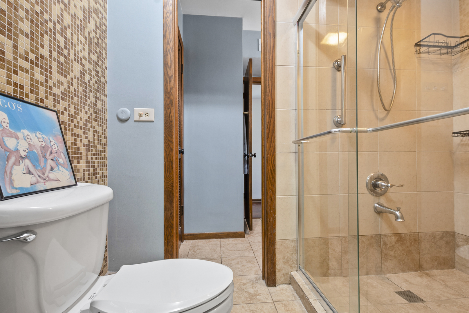 3-n550 Crown Road, Unit 2 Elmhurst, IL 60126 - Photo 9 of 13