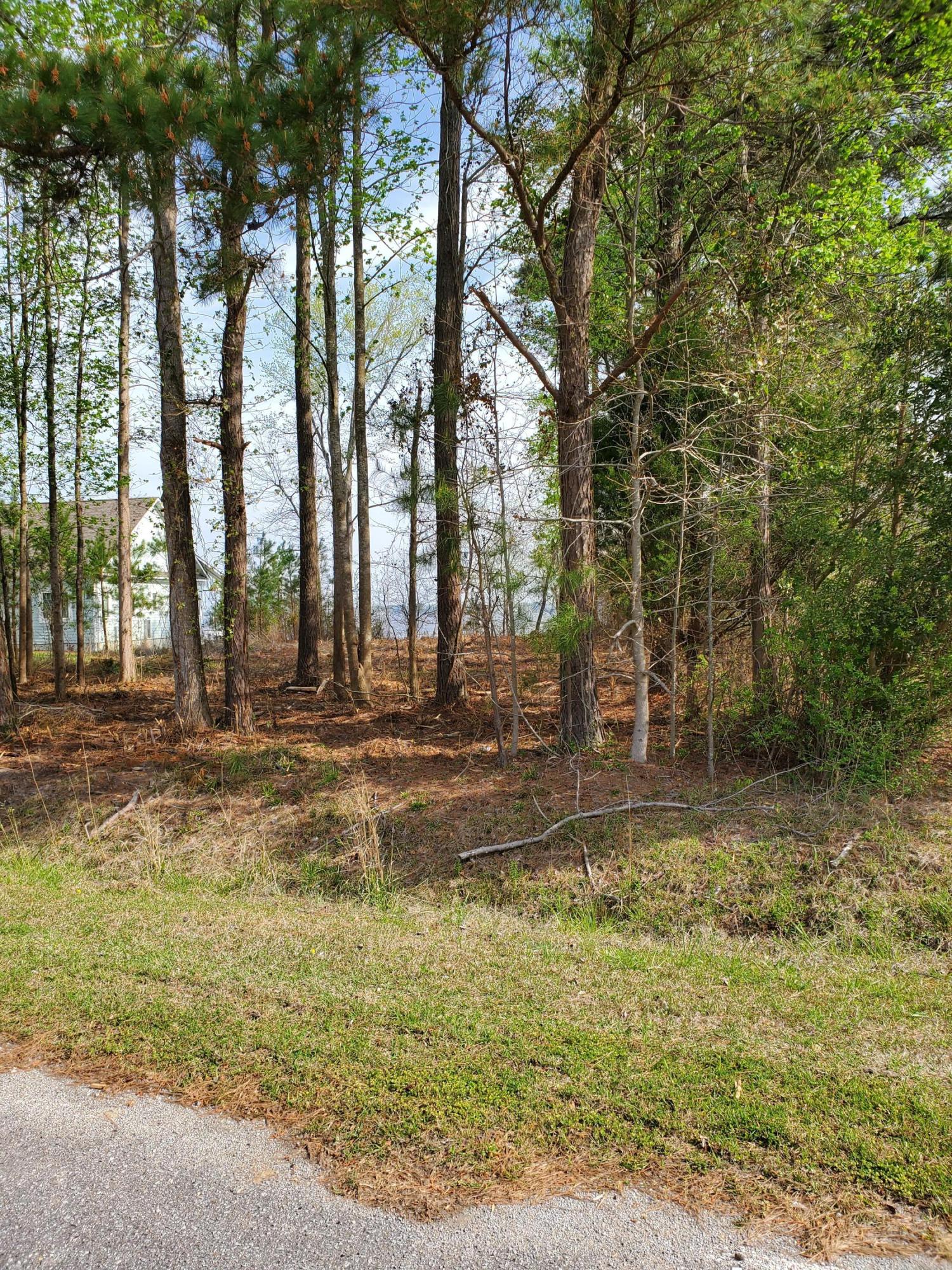 Lot 4 State Road Chocowinity, NC 27817 - Photo 1 of 10 riverhills1