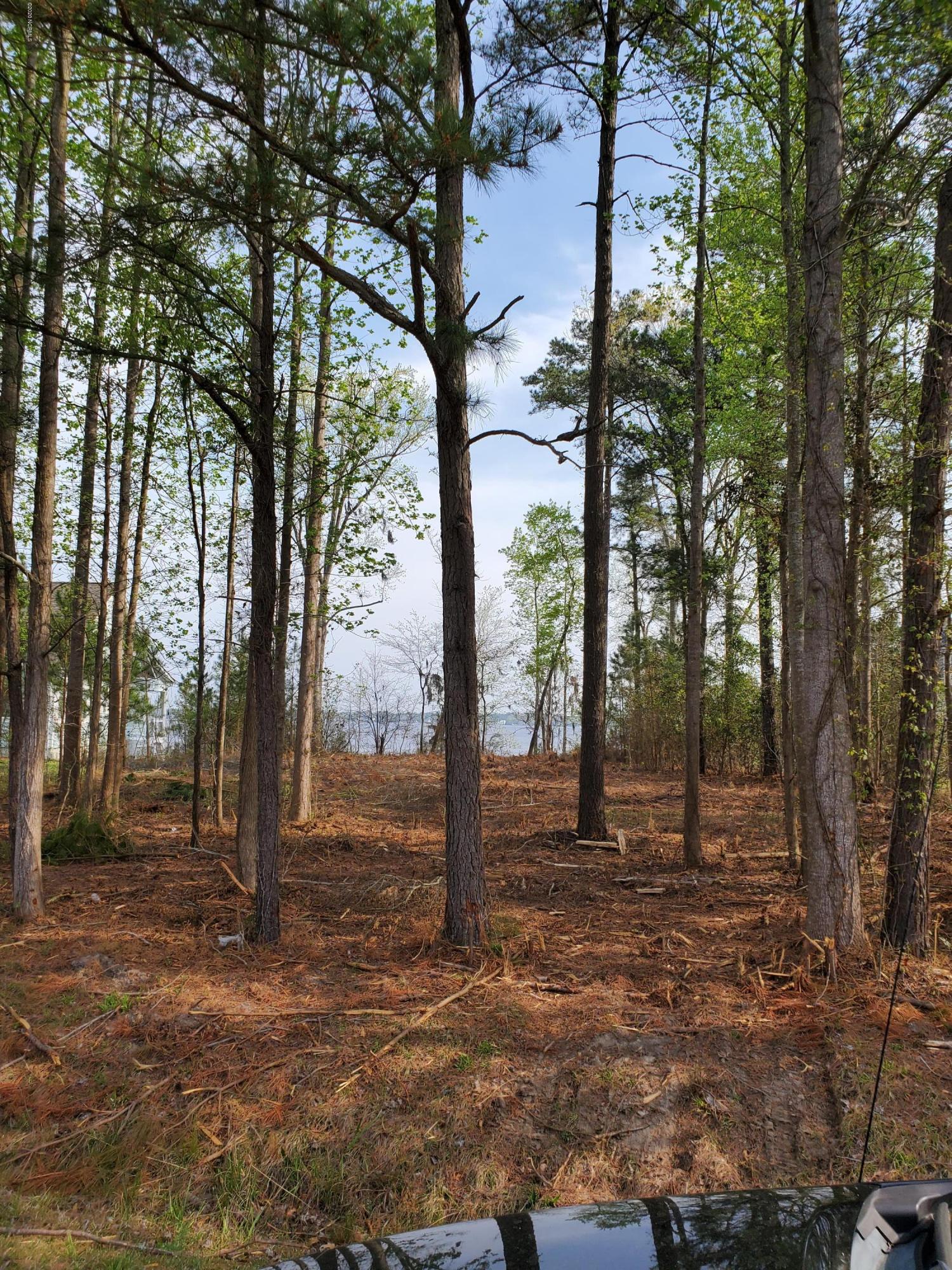 Lot 4 State Road Chocowinity, NC 27817 - Photo 3 of 10 riverhills3
